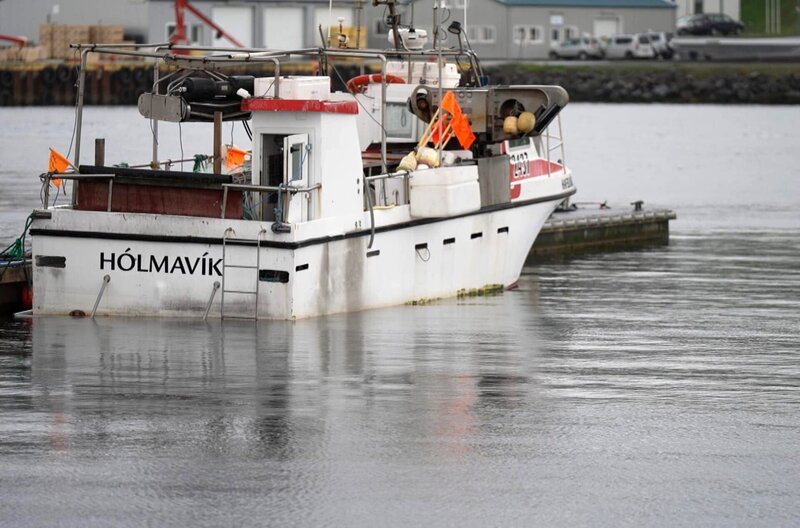 Bis nach Island wagten sich die Basken im 17. Jahrhundert für den Walfang vor … – Bild: Elephant Doc