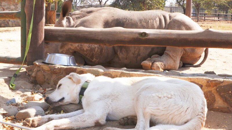 l-r: Esme und David. – Bild: Roberto Carletti