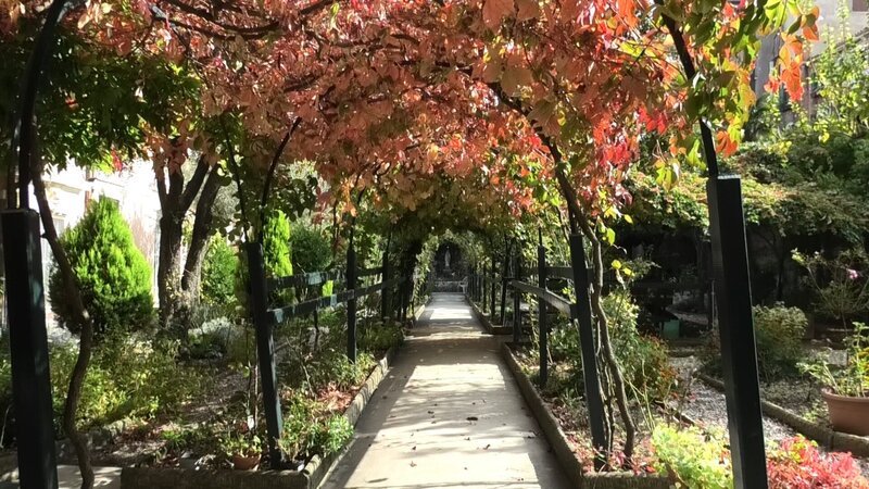 Klostergarten im Herbst. – Bild: ORF III