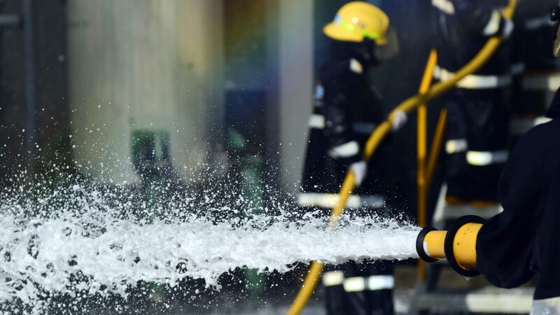 Bild: This content is subject to copyright.