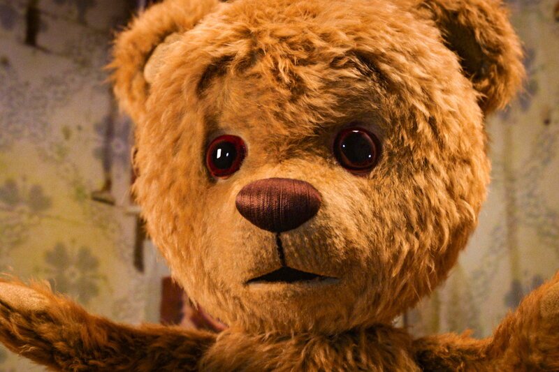 Ein Weihnachtsfest für Teddy Teddy SRF/​Ascot Elite – Bild: SRF/​Ascot Elite