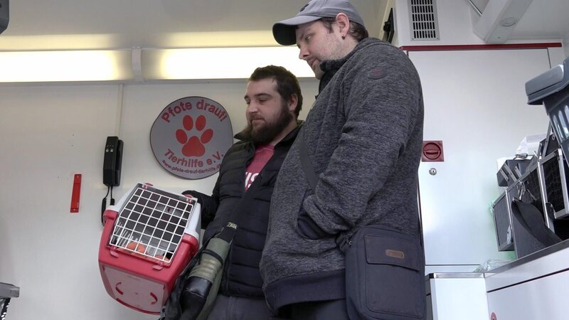 Sascha (li.) und Mike haben vor einigen Monaten einen neuen Kater adoptiert, doch eine Kastration konnten sich die Ehemänner bislang nicht leisten. Gemeinsam suchen die Bürgergeldempfänger nach einer kostengünstigen Lösung. – Bild: RTLZWEI