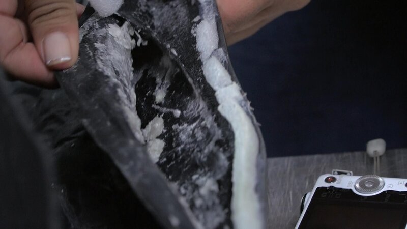 Bild: National Geographic Partners, LLC