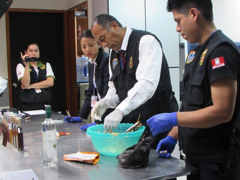 LIMA – Drug in can being poured. – Bild: National Geographic Partners, LLC