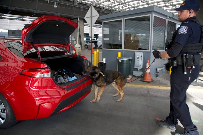 Der K9 von CBP-Officer Plamondon riecht und durchsucht das Fahrzeug eines Verdächtigen nach versteckten Schmuggelwaren (National Geographic). – Bild: National Geographic /​ National Geographic