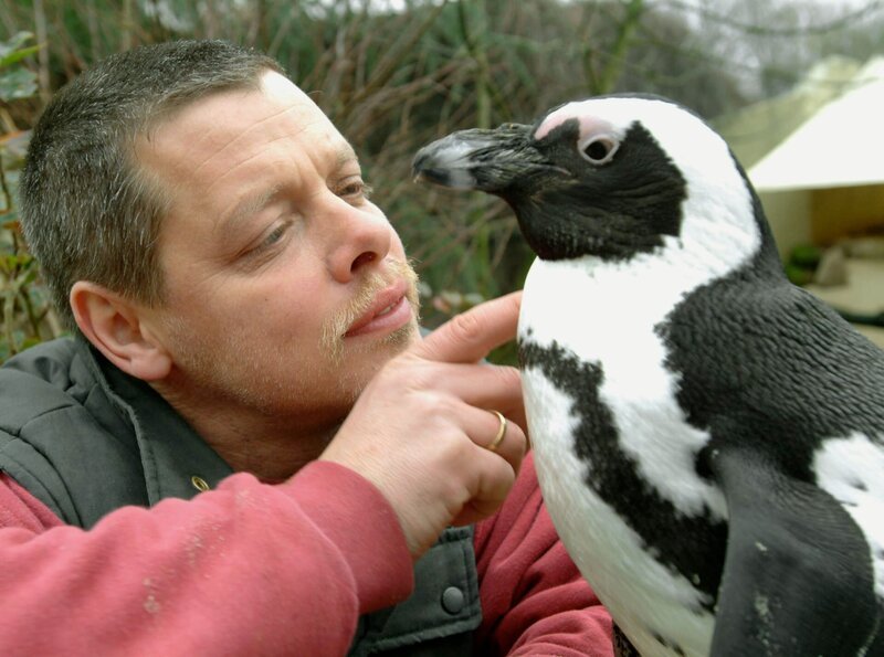 Peter Vollbracht betreut die Pinguine. Pinguin Sandy hat seinen Pfleger besonders ins Herz geschlossen. – Bild: BR/​WDR/​Melanie Grande
