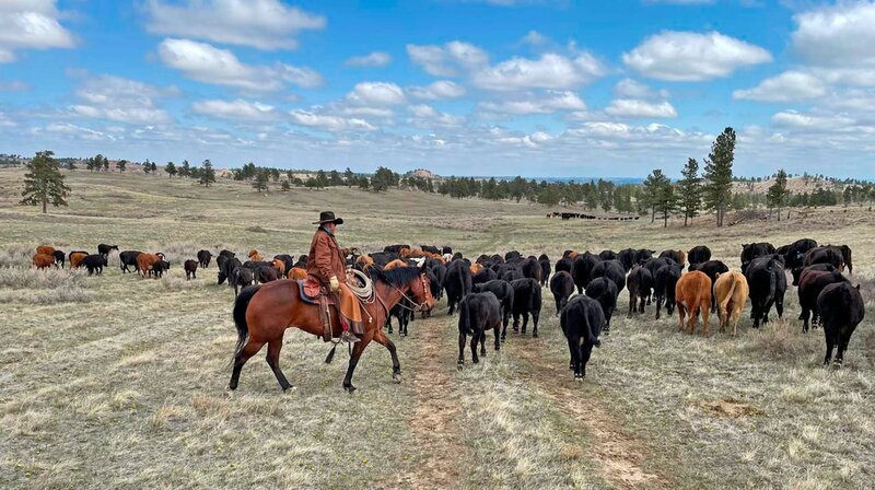 Die Rocky Mountains, über 3100 km Steine und Berge. Eine beeindruckende Landschaft, die Menschen und Kultur Nordamerikas entscheidend prägt. – Bild: phoenix/​ZDF