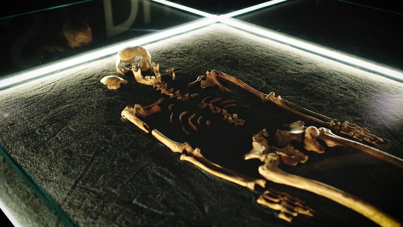 Eine wissenschaftliche Sensation: Der eiszeitliche „Mann von Neuessing“ aus dem bayerischen Altmühltal hatte dunkle Augen, fast schwarze Haare und eine sehr dunkle Haut. Er sah aus wie ein Afrikaner. – Bild: ZDF und Torbjörn Karvang