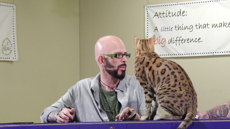 Jackson Galaxy next to Zeus who’s sitting on a rail. – Bild: Animal Planet /​ Discovery Communications