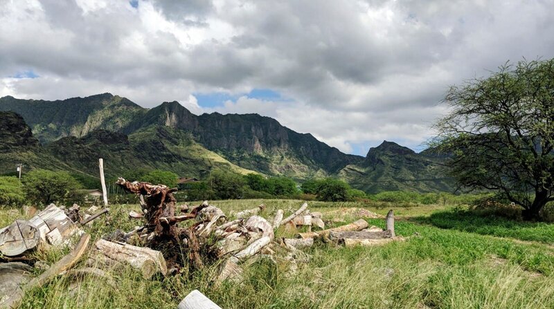 Oahu ist eine Insel mit überwältigender Natur und faszinierender Vielfalt auf auf kleinstem Raum. – Bild: ZDF und NDR/LOUPEFILM. Oahu ist eine Insel mit überwältigender Natur und faszinierender Vielfalt auf auf kleinstem Raum. – Bild: ZDF und NDR/LOUPEFILM.