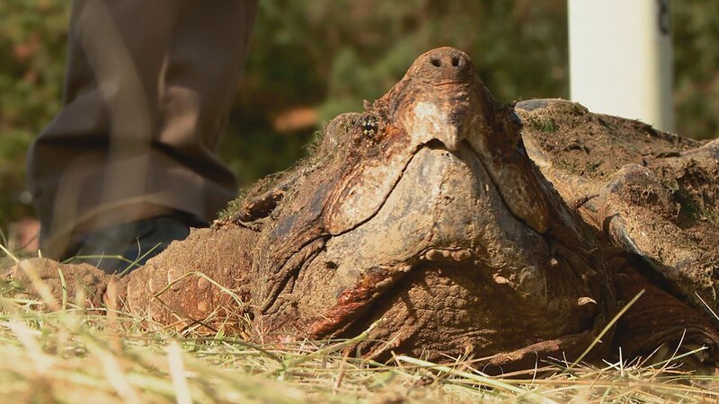 . – Bild: Warner Bros. Discovery