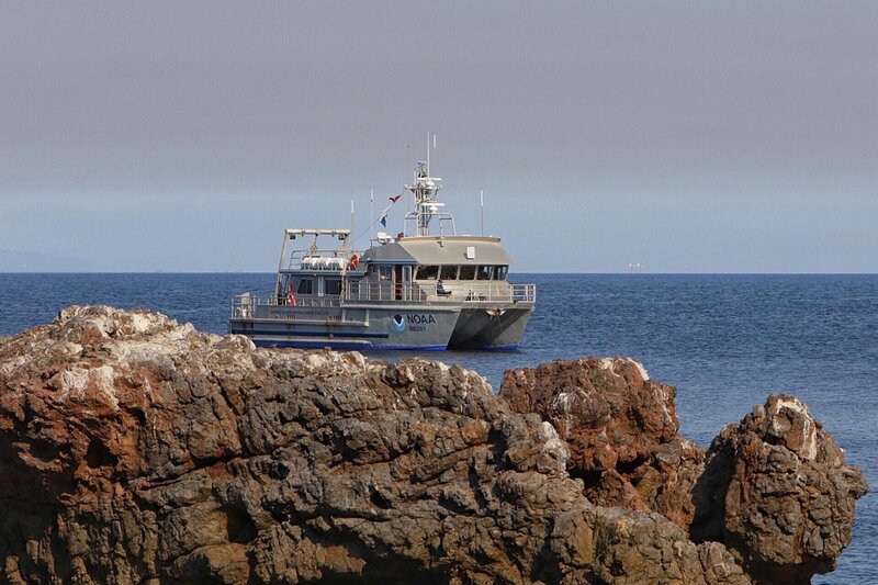 Bild: NGC Network US, LLC.