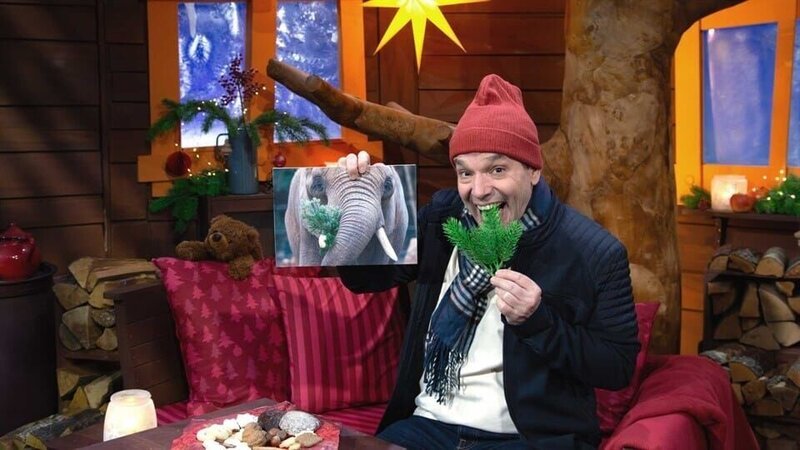 Weihnachtsbäume 1 – Bild: KiKA