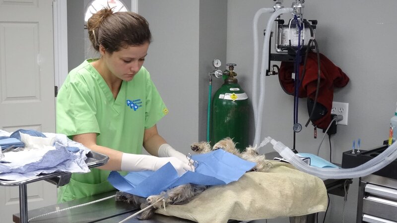 The new clinic. – Bild: Animal Planet /​ Discovery Communications