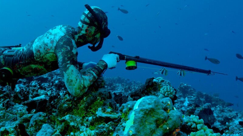 Harpunenfischen vor Rangiroa, Tuamotu-Archipel. – Bild: Autentic GmbH/​BR/​NDR/​Yann Hubert/​Yann Hubert