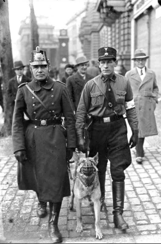 Aus Berlin, der vibrierenden Metropole der Weimarer Republik, wurde 1933 in nur wenigen Monaten die Hauptstadt des Dritten Reichs. Die Ereignisse des Jahres werden chronologisch erzählt, aus den Blickwinkeln der Zeitgenossen. Grundlage sind Tagebücher und Briefe, Bilder und Filme. Eine Collage über das Ende einer Demokratie und den Beginn einer Diktatur, vergangen und gegenwärtig zugleich. – Die Reichstagswahl am 5. März 1933. Nationalsozialistische Hilfspolizei im Verein mit Schutzpolizei Beamten sorgen in den Straßen Berlins für Ruhe und Ordnung am Wahltag. – Bild: rbb