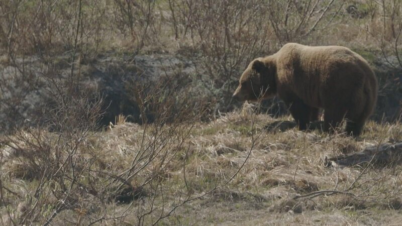 Bild: FremantleMedia Limited