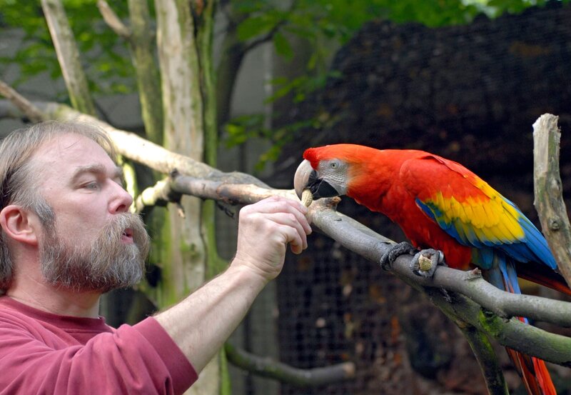 Pfleger Reinhold Evels betreut u.a. die Aras. – Bild: BR/​WDR/​Melanie Grande