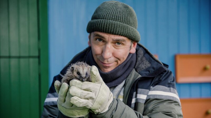Der kleine Igel braucht dringend Hilfe, um den Winter zu überleben. Fritz (Guido Hammesfahr) kümmert sich um ihn. – Bild: Honorarfrei – nur für diese Sendung inkl. SocialMedia bei Nennung ZDF und Andrea Hansen Fotografie.