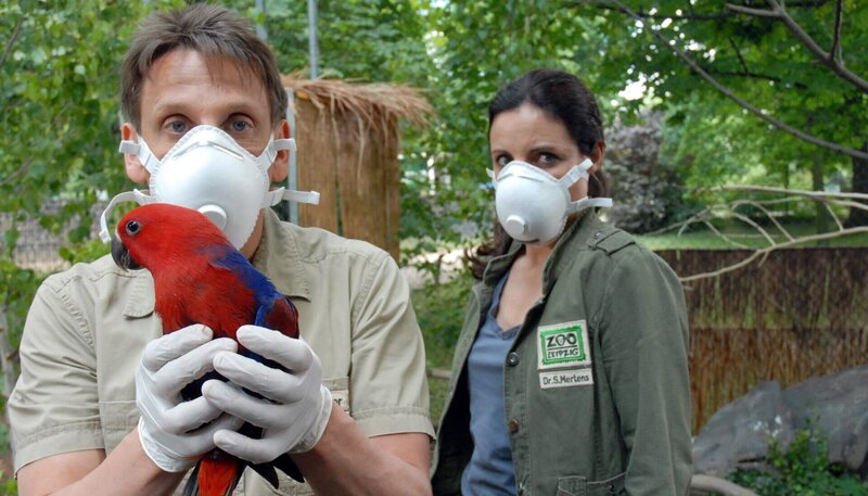 Dr. Susanne Mertens (Elisabeth Lanz, rechts) ist davon überzeugt, dass der Papagei von Dr. Tom Berkhoff den gefährlichen Virus in den Zoo eingeschleppt hat. Gemeinsam mit Tierpfleger Conny (Thorsten Wolf) separiert sie den Vogel. – Bild: ARD/​Christa Köfer