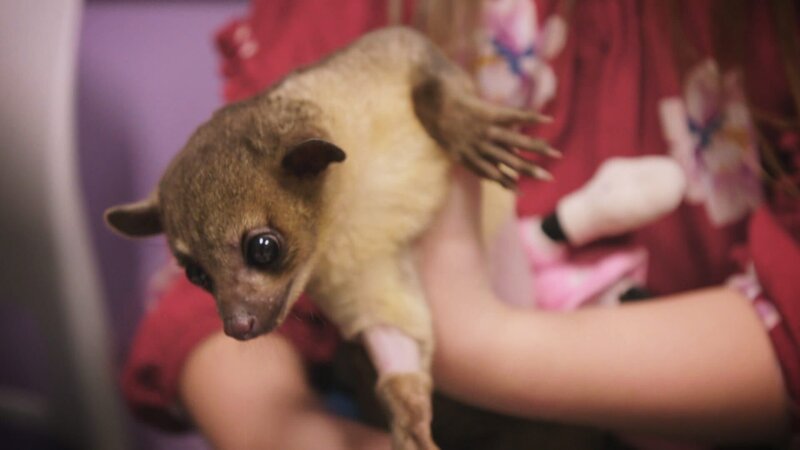 . – Bild: Warner Bros. Discovery