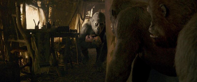 Bild: Warner Bros Entertainment /​ MKNS