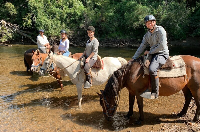Insel Chiloé in Chile. Ausflug der Praktikanten Lara, Katharina, Günther und ihrem Guide Pablo. Auf einer Farm im Inland reiten sie im Westernstil durch den Busch runter zum Fluss. Dort gehen sie mit den Pferden ins Wasser. – Bild: BR/​Bewegte Zeiten Filmproduktion GmbH/​Gerrit Mannes