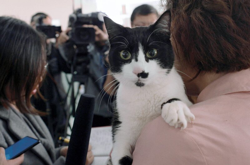 Die Mechanik der Dinge – Bild: ZDF /​ Films de Force Majeure/​Dirk Ma /​ Films de Force Majeure/​Dirk Manthey Film