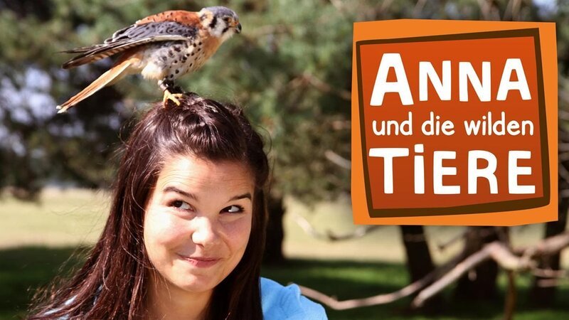 Logo Anna und die wilden Tiere | Bild: BR – Bild: ARWM