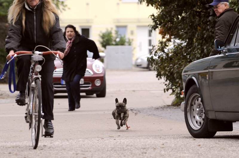 Moni (Christine Reimer) kann nicht verhindern, dass Louise ihr entläuft. – Bild: BR/​Marco Orlando Pichler