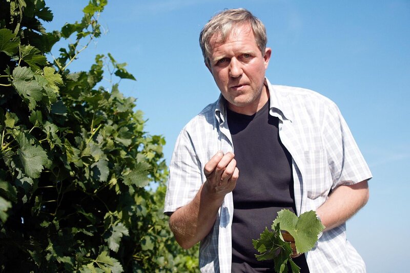 Harald Krassnitzer als Thomas Stickler – Bild: port.hu