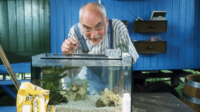 Im Aquarium versucht sich Peter Lustig (Peter Lustig) als Perlmuschelzüchter. – Bild: ZDF