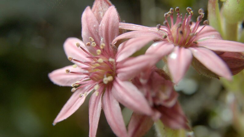 Bild: ZDF und SRF/​doc.station GmbH