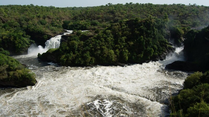 Über die Murchinson Falls in Uganda stürzt der Viktoria-Nil 42 Meter in die Tiefe. – Bild: ZDF und Aquavision TV Productions Pty Ltd.