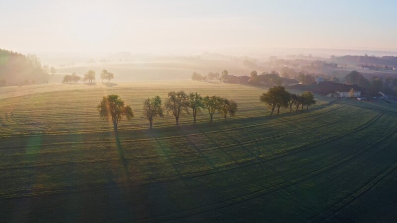 Sanfte Hügel, Nebel und blühende Obstbäume. So zeigt sich das malerische Mostviertel. – Bild: Patrick Centurioni /​ ORF /​ Centurioni Images
