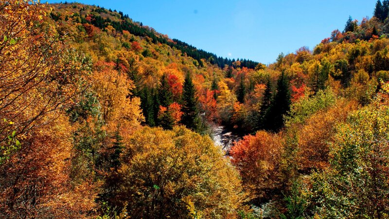 Während der letzten warmen Tage im Jahr sind die Great Smoky Mountains in alle nur erdenklichen Farbtöne getaucht. Die Herbstfarben sind eine spektakuläre Sehenswürdigkeit in den südlichen Appalachen. – Bild: NDR/​Doclights GmbH
