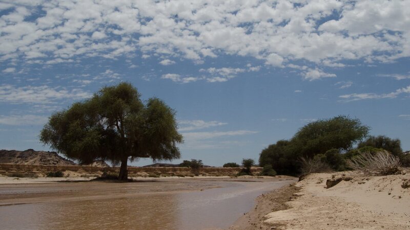 Nur zwei Wochen im Jahr führt der Hoanib Wasser. – Bild: Devon Mc Alpine