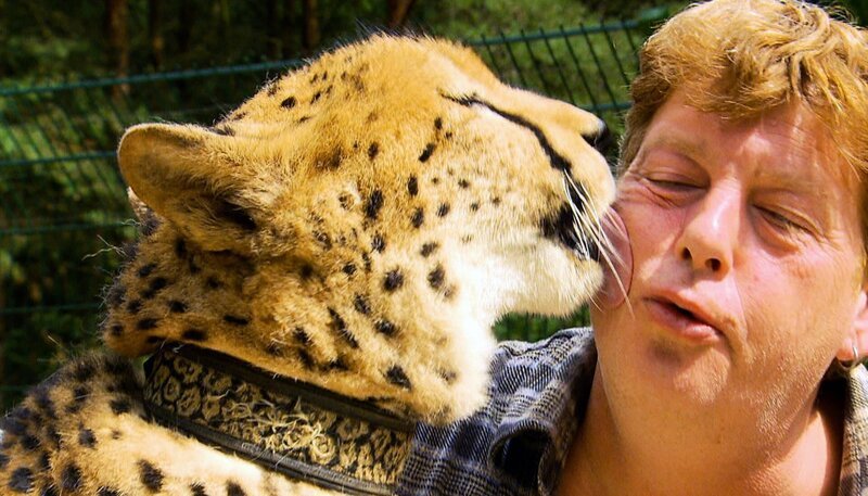Tiertrainer Gerhard Harsch bekommt einen Kuss von Gepard Arab. – Bild: NDR/​5ǀ14 FILM
