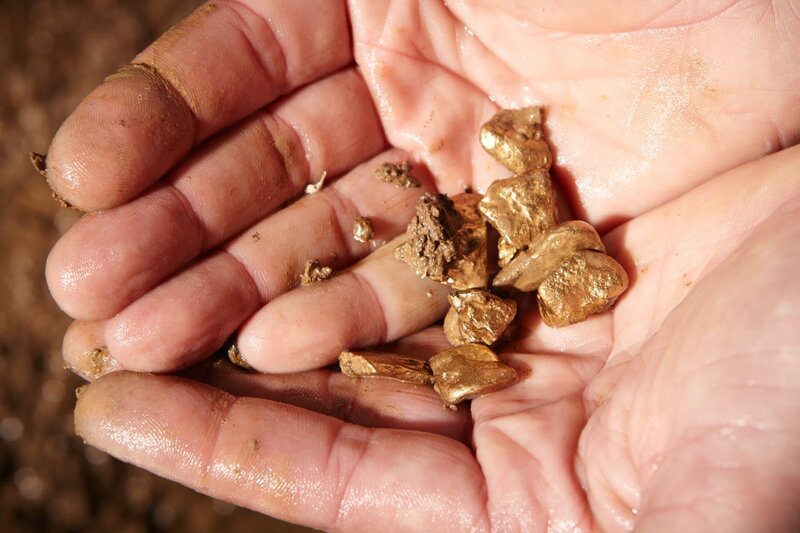 Detail of golden nuggets found by today prospector in sand of creek – Bild: Model release /​ David äpidlen