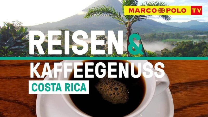 Bild: BonGusto Bild: BonGusto