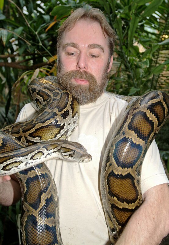 Pfleger Reinhold Evels mit einem prächtigen Tigerpython, für den er verantwortlich ist. – Bild: WDR/​Melanie Grande