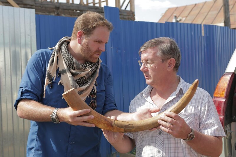 Josh Gates – Bild: The Travel Channel, L.L.C.