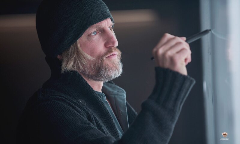 Haymitch (Woody Harrelson), ein ehemaliger Sieger der Hungerspiele, steht seinem Schützling Katniss stets mit Rat und Tat zur Seite … – Bild: Murray Close Haymitch (Woody Harrelson), ein ehemaliger Sieger der Hungerspiele, steht seinem Schützling Katniss stets mit Rat und Tat zur Seite … – Bild: Murray Close