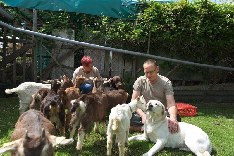 Selbstversorger Martin und Christiane S. verkaufen selbstgemachten Ziegenkäse. – Bild: SRF/​ZDF Studios /​ Lennart Haneklaus