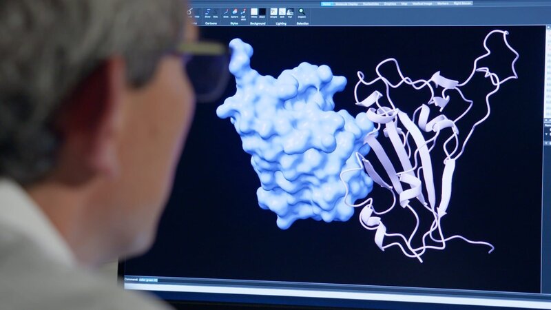 Heilung durch Kamele? – Bild: Seppia Films