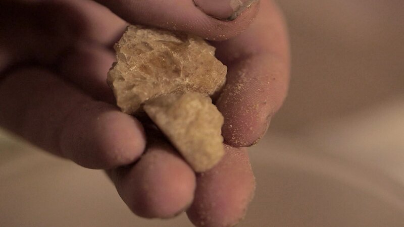 Bild: PLURIMEDIA (Wall to Wall Media)