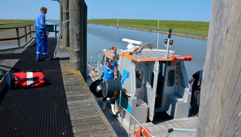 Heuler von der Bohrinsel – Bild: Radio Bremen/​Volkmar Struessmann