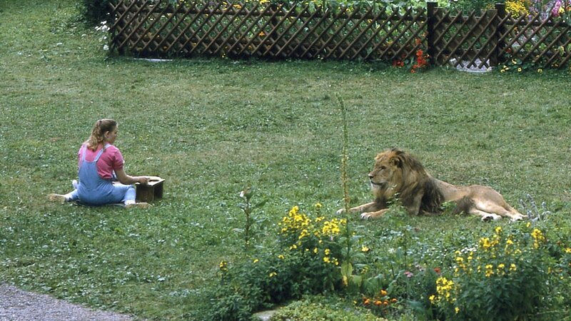 Angie (Angelika Reißner) hat sich mit dem Löwen von einem Wanderzirkus angefreundet. Sie findet es ganz normal, dass sie der Löwe plötzlich in Brinkmanns Garten besucht. – Bild: ZDF und Thomas Waldhelm