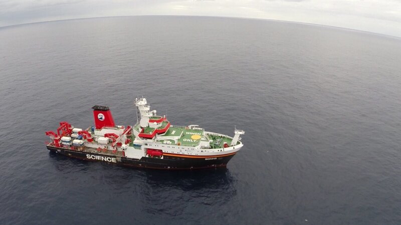 Lebensraum Manganknollenfeld: Auch in vier Kilometer Tiefe wachsen Pflanzen. – Bild: ZDF Lebensraum Manganknollenfeld: Auch in vier Kilometer Tiefe wachsen Pflanzen. – Bild: ZDF