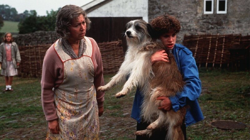 Anne (Laura Petela, l.), Mrs. Jones (Ruth Madoc, M.) George (Jemima Rooper, r.) stehen auf dem Hof von Mrs. Jones. George nimmt ihren Hund Timmy auf den Arm, weil er von drei ihm körperlich überlegenen Hunden angebellt wird, bis die Situation entschärft werden kann. Auf dem Hof beobachten sie merkwürdige Dinge. – Bild: ZDF und Mike Alsford